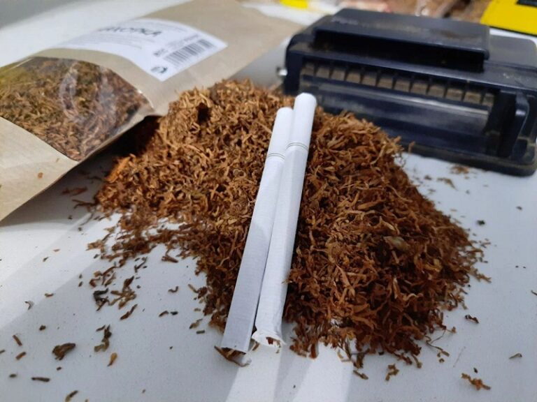 Можно ли вырастить табак в средней полосе России?