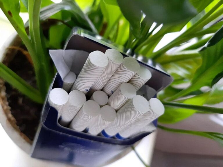 С 1 марта вновь вырастут акцизы на сигареты. Сколько будет стоить пачка?